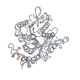 24664_7rro_DL_v1-2
Structure of the 48-nm repeat doublet microtubule from bovine tracheal cilia