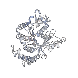 24664_7rro_DN_v1-2
Structure of the 48-nm repeat doublet microtubule from bovine tracheal cilia