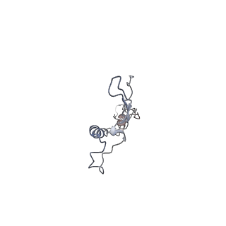 24664_7rro_E1_v1-2
Structure of the 48-nm repeat doublet microtubule from bovine tracheal cilia