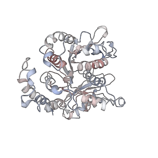 24664_7rro_ED_v1-2
Structure of the 48-nm repeat doublet microtubule from bovine tracheal cilia