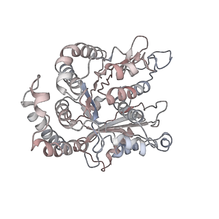 24664_7rro_EG_v1-2
Structure of the 48-nm repeat doublet microtubule from bovine tracheal cilia