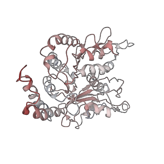 24664_7rro_EK_v1-2
Structure of the 48-nm repeat doublet microtubule from bovine tracheal cilia