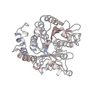 24664_7rro_FN_v1-2
Structure of the 48-nm repeat doublet microtubule from bovine tracheal cilia
