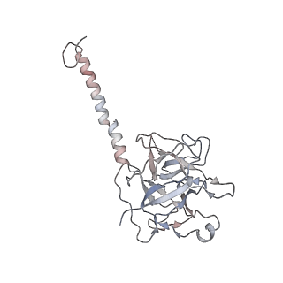 24664_7rro_F_v1-2
Structure of the 48-nm repeat doublet microtubule from bovine tracheal cilia