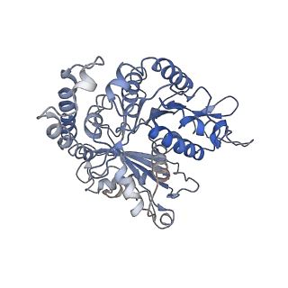 24664_7rro_GM_v1-2
Structure of the 48-nm repeat doublet microtubule from bovine tracheal cilia
