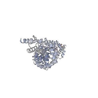 24664_7rro_H7_v1-2
Structure of the 48-nm repeat doublet microtubule from bovine tracheal cilia