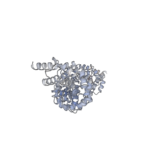 24664_7rro_H8_v1-2
Structure of the 48-nm repeat doublet microtubule from bovine tracheal cilia