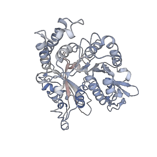24664_7rro_HD_v1-2
Structure of the 48-nm repeat doublet microtubule from bovine tracheal cilia