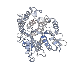 24664_7rro_HE_v1-2
Structure of the 48-nm repeat doublet microtubule from bovine tracheal cilia