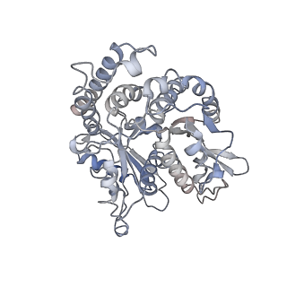 24664_7rro_HF_v1-2
Structure of the 48-nm repeat doublet microtubule from bovine tracheal cilia
