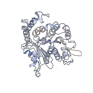 24664_7rro_HL_v1-2
Structure of the 48-nm repeat doublet microtubule from bovine tracheal cilia