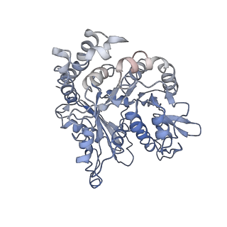 24664_7rro_HN_v1-2
Structure of the 48-nm repeat doublet microtubule from bovine tracheal cilia