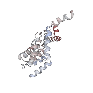 24664_7rro_I1_v1-2
Structure of the 48-nm repeat doublet microtubule from bovine tracheal cilia