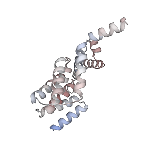 24664_7rro_I2_v1-2
Structure of the 48-nm repeat doublet microtubule from bovine tracheal cilia