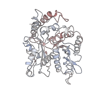 24664_7rro_IK_v1-2
Structure of the 48-nm repeat doublet microtubule from bovine tracheal cilia