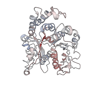 24664_7rro_IL_v1-2
Structure of the 48-nm repeat doublet microtubule from bovine tracheal cilia