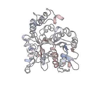 24664_7rro_IN_v1-2
Structure of the 48-nm repeat doublet microtubule from bovine tracheal cilia