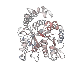 24664_7rro_IO_v1-2
Structure of the 48-nm repeat doublet microtubule from bovine tracheal cilia