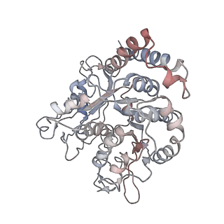 24664_7rro_JK_v1-2
Structure of the 48-nm repeat doublet microtubule from bovine tracheal cilia