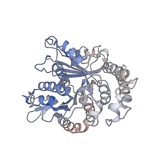 24664_7rro_KC_v1-2
Structure of the 48-nm repeat doublet microtubule from bovine tracheal cilia