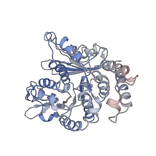 24664_7rro_KD_v1-2
Structure of the 48-nm repeat doublet microtubule from bovine tracheal cilia