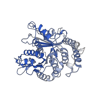 24664_7rro_KG_v1-2
Structure of the 48-nm repeat doublet microtubule from bovine tracheal cilia