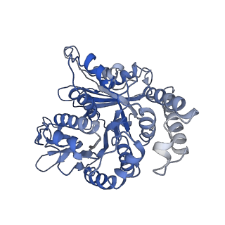 24664_7rro_KH_v1-2
Structure of the 48-nm repeat doublet microtubule from bovine tracheal cilia