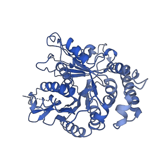24664_7rro_KI_v1-2
Structure of the 48-nm repeat doublet microtubule from bovine tracheal cilia