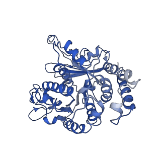 24664_7rro_KJ_v1-2
Structure of the 48-nm repeat doublet microtubule from bovine tracheal cilia