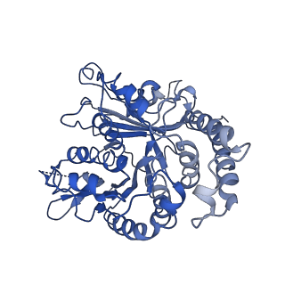 24664_7rro_KK_v1-2
Structure of the 48-nm repeat doublet microtubule from bovine tracheal cilia