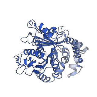24664_7rro_KM_v1-2
Structure of the 48-nm repeat doublet microtubule from bovine tracheal cilia