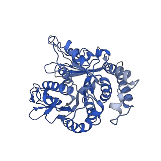 24664_7rro_KN_v1-2
Structure of the 48-nm repeat doublet microtubule from bovine tracheal cilia