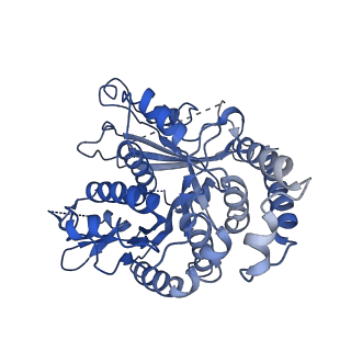 24664_7rro_KO_v1-2
Structure of the 48-nm repeat doublet microtubule from bovine tracheal cilia