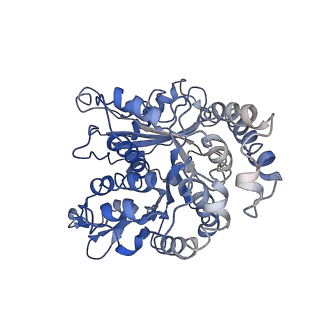 24664_7rro_LI_v1-2
Structure of the 48-nm repeat doublet microtubule from bovine tracheal cilia