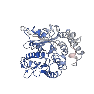 24664_7rro_LJ_v1-2
Structure of the 48-nm repeat doublet microtubule from bovine tracheal cilia