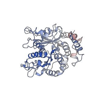 24664_7rro_LK_v1-2
Structure of the 48-nm repeat doublet microtubule from bovine tracheal cilia