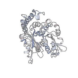 24664_7rro_N0_v1-2
Structure of the 48-nm repeat doublet microtubule from bovine tracheal cilia