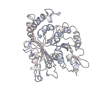24664_7rro_NA_v1-2
Structure of the 48-nm repeat doublet microtubule from bovine tracheal cilia