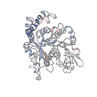 24664_7rro_NB_v1-2
Structure of the 48-nm repeat doublet microtubule from bovine tracheal cilia