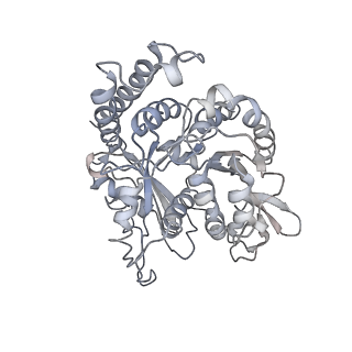 24664_7rro_ND_v1-2
Structure of the 48-nm repeat doublet microtubule from bovine tracheal cilia