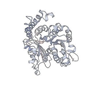 24664_7rro_NH_v1-2
Structure of the 48-nm repeat doublet microtubule from bovine tracheal cilia