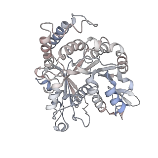 24664_7rro_NK_v1-2
Structure of the 48-nm repeat doublet microtubule from bovine tracheal cilia