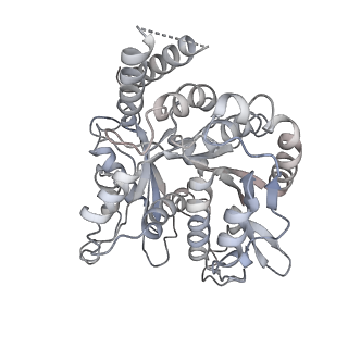 24664_7rro_O0_v1-2
Structure of the 48-nm repeat doublet microtubule from bovine tracheal cilia