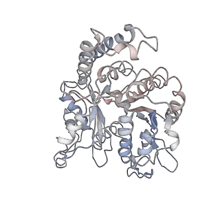 24664_7rro_OB_v1-2
Structure of the 48-nm repeat doublet microtubule from bovine tracheal cilia