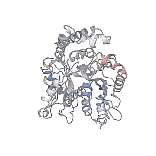 24664_7rro_OE_v1-2
Structure of the 48-nm repeat doublet microtubule from bovine tracheal cilia