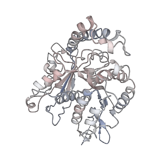 24664_7rro_PA_v1-2
Structure of the 48-nm repeat doublet microtubule from bovine tracheal cilia