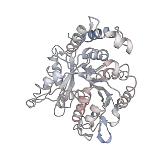 24664_7rro_PD_v1-2
Structure of the 48-nm repeat doublet microtubule from bovine tracheal cilia