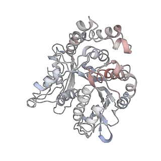 24664_7rro_PH_v1-2
Structure of the 48-nm repeat doublet microtubule from bovine tracheal cilia