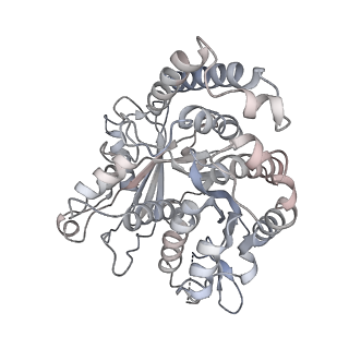 24664_7rro_PI_v1-2
Structure of the 48-nm repeat doublet microtubule from bovine tracheal cilia