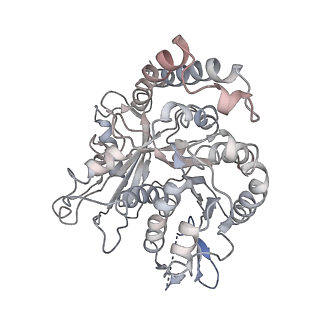 24664_7rro_PK_v1-2
Structure of the 48-nm repeat doublet microtubule from bovine tracheal cilia